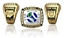 Picture of Major Plus World Champion Ring/Pendant w/World and Crossed Bats  - 14K Yellow Gold